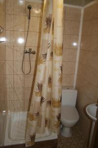 Un baño con cortina de ducha y un inodoro. en Котедж Ялівець, en Kolochava 24 fotos más