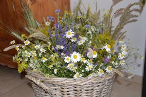 ポダースドルフ・アム・ゼーにあるGästehaus Schmidtのギャラリーの写真