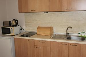 Kuchyň nebo kuchyňský kout v ubytování Hotel Radik