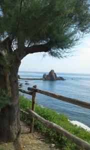 a tree and a fence next to the ocean at casa maria in Sestri Levante