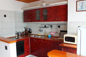 Kuchyň nebo kuchyňský kout v ubytování Ibolya Apartmanok