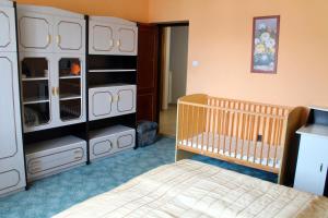 Postel nebo postele na pokoji v ubytování Ibolya Apartmanok