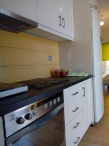 Nhà bếp/bếp nhỏ tại odys apartment centrer of town