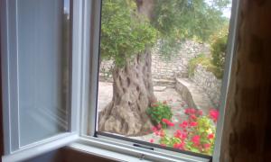 A garden outside Villa Elvira