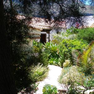 Casa Rural Palomar - Men Only外面的花园