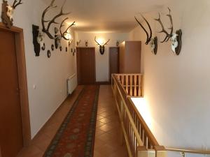 a hallway with stairs and antlers on the wall at Silvanus Panzió in Lenti