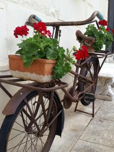 Fotografie z fotogalerie ubytování B&B La Nicchiarica v destinaci Muro Leccese