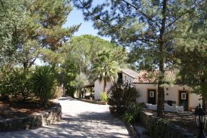 a house in the middle of a road with trees at Casa do Vale in Sao Pedro de Tomar