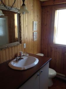 a bathroom with a sink and a toilet at Chalet d'Anna in Saint-Damien