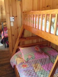 a bunk bed in a wooden room with a bunk bedsheet at Chalet d'Anna in Saint-Damien