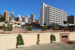 Imagen de la galería de Acuarium, en Benidorm