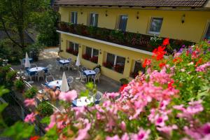 Zahrada ubytování Pension Appartement Lanzer