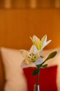 Fotografie z fotogalerie ubytování Pension Appartement Lanzer v destinaci Moosburg
