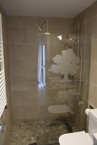 uma casa de banho com um chuveiro, um WC e uma janela. em La Magnòlia i L´Alzina em Blanes