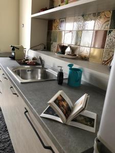 - un comptoir de cuisine avec un évier et un livre dans l'établissement Appartamento in centro, à Cassino