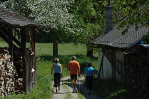 Hosté ubytování Pension Appartement Lanzer