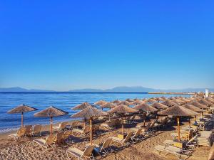 Gallery image of Menios Apartments and Studios in Nea Kalikratia +46 photos