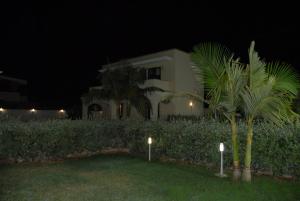 una casa de noche con palmeras delante en Oasi Tortuga, en Mazara del Vallo