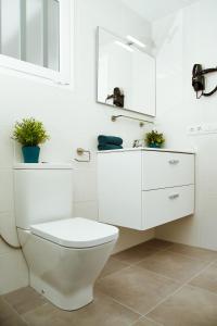 プエルト・デル・カルメンにあるApartamento Victoriaの白いバスルーム(トイレ、鏡付)