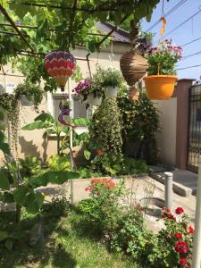 un jardín con flores y macetas en una casa en Casa Litoral, en Constanţa
