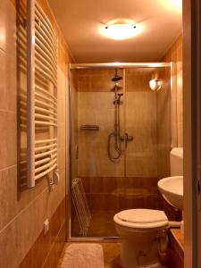 een badkamer met een douche, een toilet en een wastafel bij Gyula Vár Prémium Apartman in Gyula