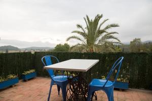 Príroda v okolí of the country house