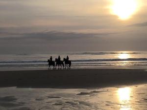 Tres personas montando caballos en la playa al atardecer en Ferienwohnung Deichgraf en Westerland