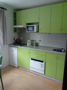 eine Küche mit grünen Schränken und einer Mikrowelle in der Unterkunft Apartman Ales in Lipno nad Vltavou