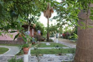 a garden with trees and plants and a house at Studio Aspa in Skala Eresou