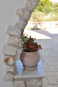 Gallery image of Sunshine in Naxos Chora