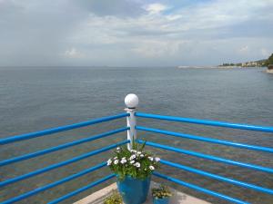 a blue railing with flowers on it next to the ocean at Skiron House in Skala Kallirakhis