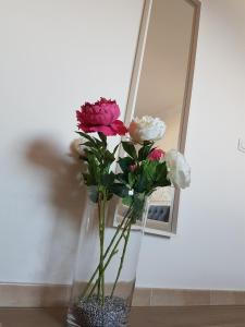 Imagen de la galería de El Lomo, en Santa Cruz de la Palma