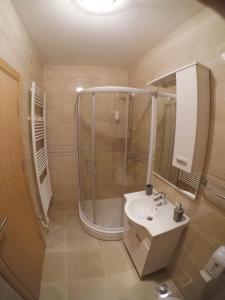łazienka z prysznicem i umywalką w obiekcie Apartman Astoria w mieście Trebinje +21 zdjęć