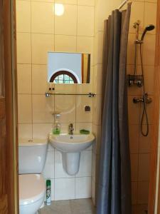 Baño pequeño con lavabo y aseo en Gosciniec pod Wegorzem en Ołownik