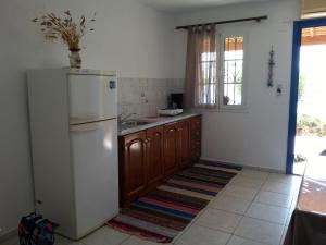 Kuchyň nebo kuchyňský kout v ubytování Panormitis Pizanias houses + 37 fotografií