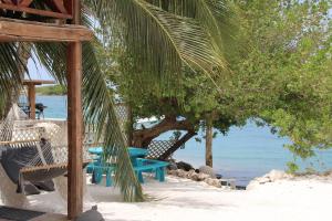 Afbeelding uit fotogalerij van Coral Reef Beach in Savaneta