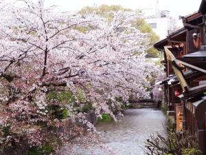 京都市にある京町家 ゑびすのギャラリーの写真