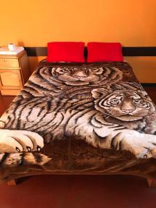 Ένα ή περισσότερα κρεβάτια σε δωμάτιο στο Tour Hostal Wanka