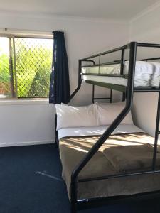 a room with two bunk beds and a window at Backpackers Inn On The Beach in Byron Bay