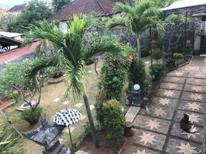 a garden with palm trees and plants and a cat at Murni’s House in Lovina