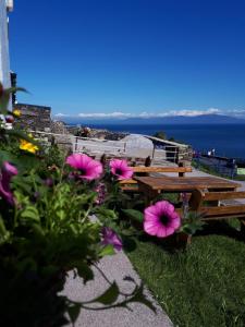 una mesa de picnic y flores con vistas al océano en Old Irish farmhouse, en Dingle