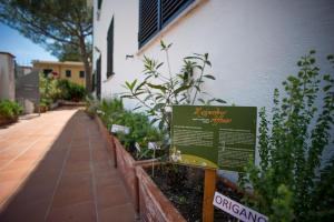 Сад в Hotel Punto Verde