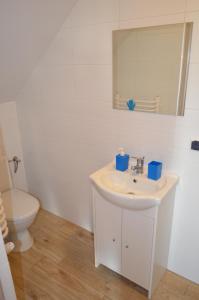 Ванна кімната в Pokoje na Wzgórzu