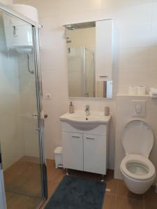 Koupelna v ubytování Apartmani Jozic