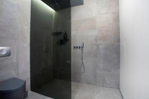 a bathroom with a shower with a glass door at Ocean View Luxury Apartment in Central Reykjavik in Reykjavík