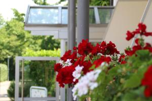 Zahrada ubytování Akzent Hotel Atrium Baden