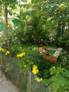 Aed väljaspool majutusasutust Guest House Shvelidze