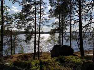 a view of a lake with trees and a large rock at Niemilomat in Varkaus