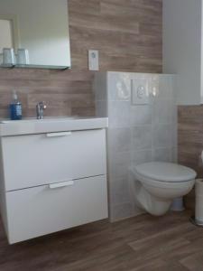 a bathroom with a toilet and a sink at Gästezimmer Fechheim in Neustadt bei Coburg