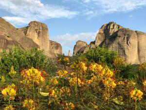 a field of flowers with mountains in the background at Hotel Doupiani House in Kalabaka